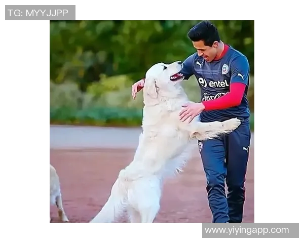 足球明星们的宠物生活揭秘看他们家中养狗的趣事与感人瞬间