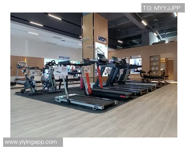 厦门健身器材企业助力健康生活新风尚与市场发展趋势分析